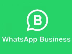 WhatsApp Business for Online Teaching