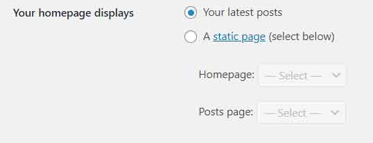 Homepage displays settings in WordPress